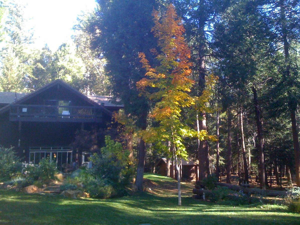 Harmony Ridge Lodge Nevada City Eksteriør bilde