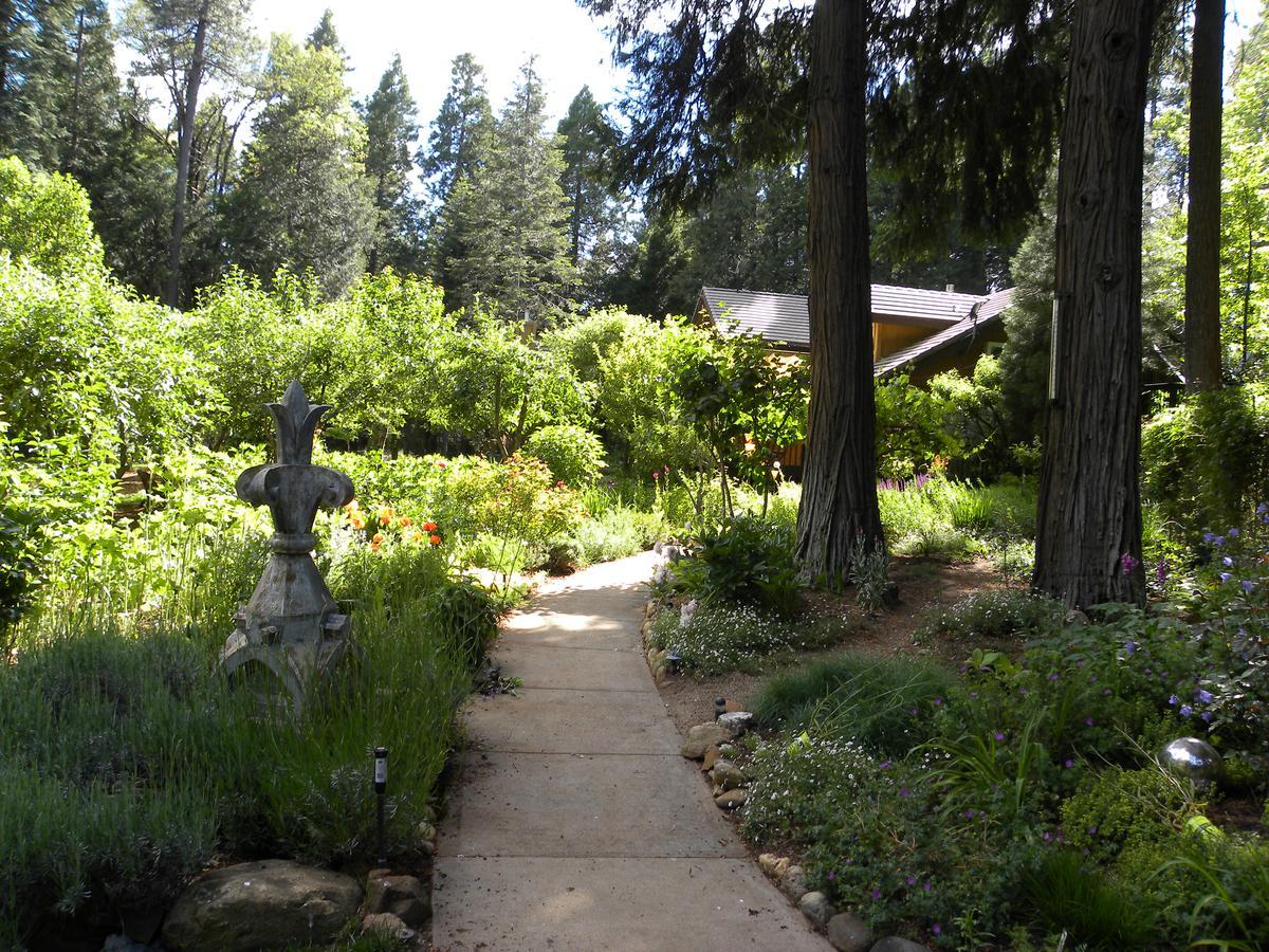 Harmony Ridge Lodge Nevada City Eksteriør bilde