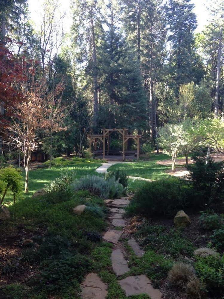 Harmony Ridge Lodge Nevada City Eksteriør bilde