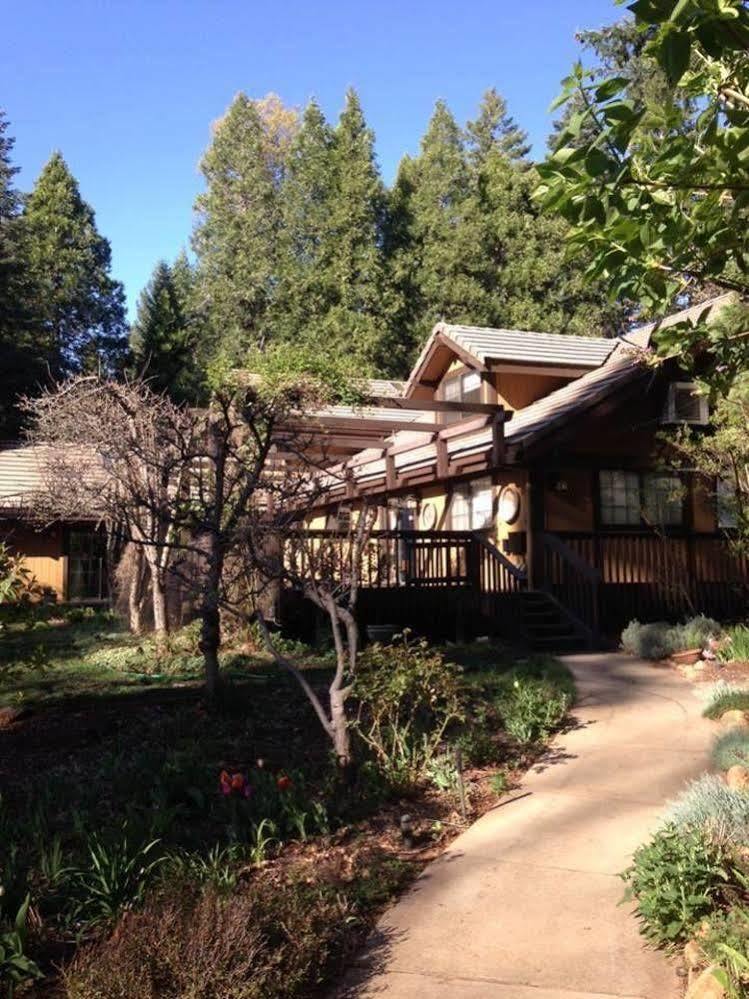 Harmony Ridge Lodge Nevada City Eksteriør bilde