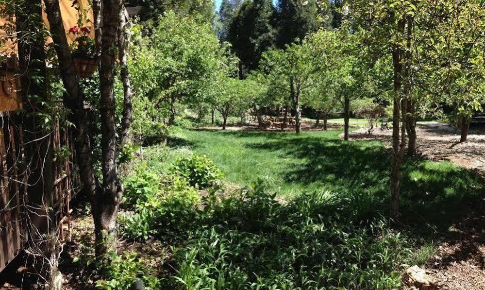 Harmony Ridge Lodge Nevada City Eksteriør bilde